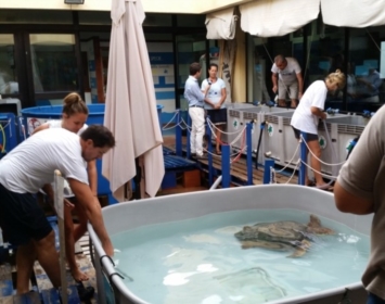 La clinica per tartarughe marine a Lampedusa