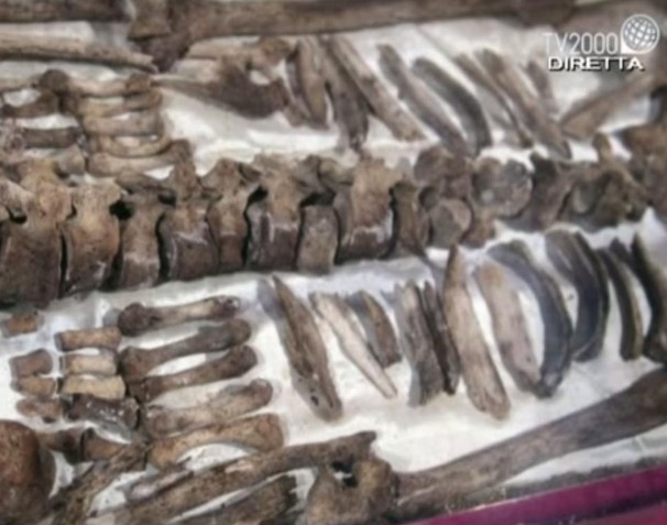 ESCLUSIVA TV2000: dentro il sepolcro di S. Francesco